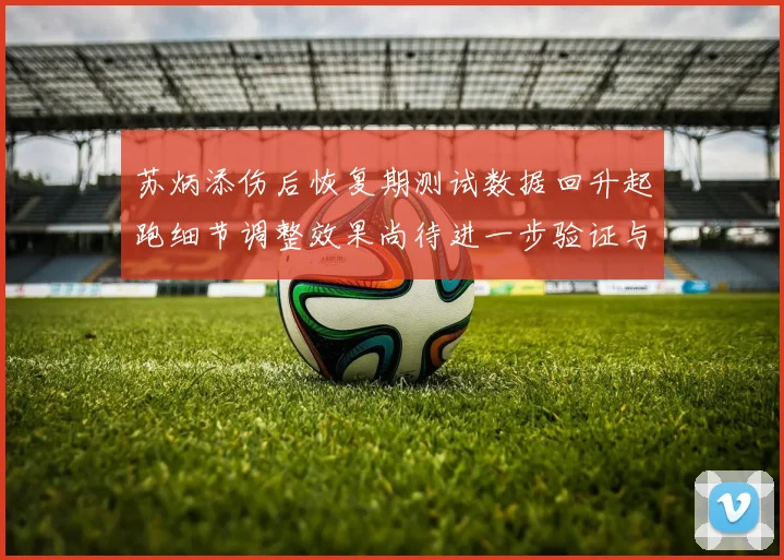苏炳添伤后恢复期测试数据回升起跑细节调整效果尚待进一步验证与观察